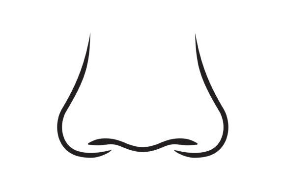 Integrating Nose Vector Illustration Assets into Professional Design Workflows